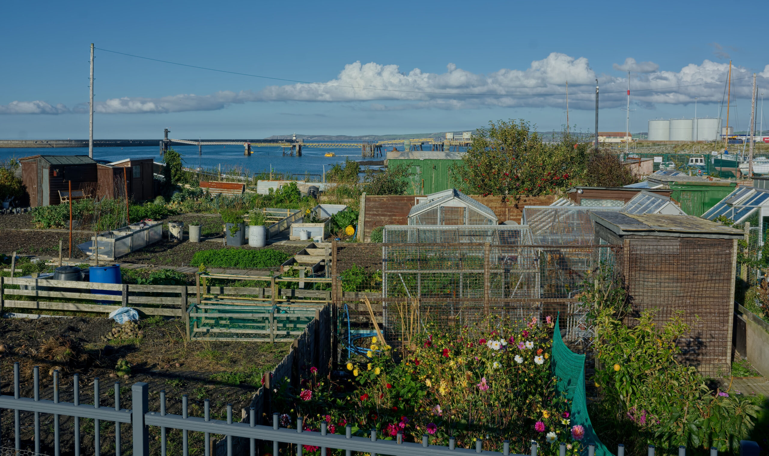Why Communities Should Think About Composting