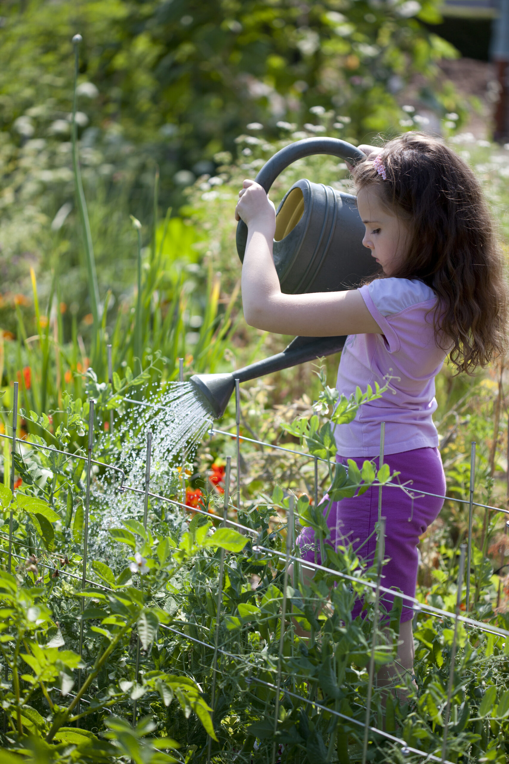 What waste can be composted?