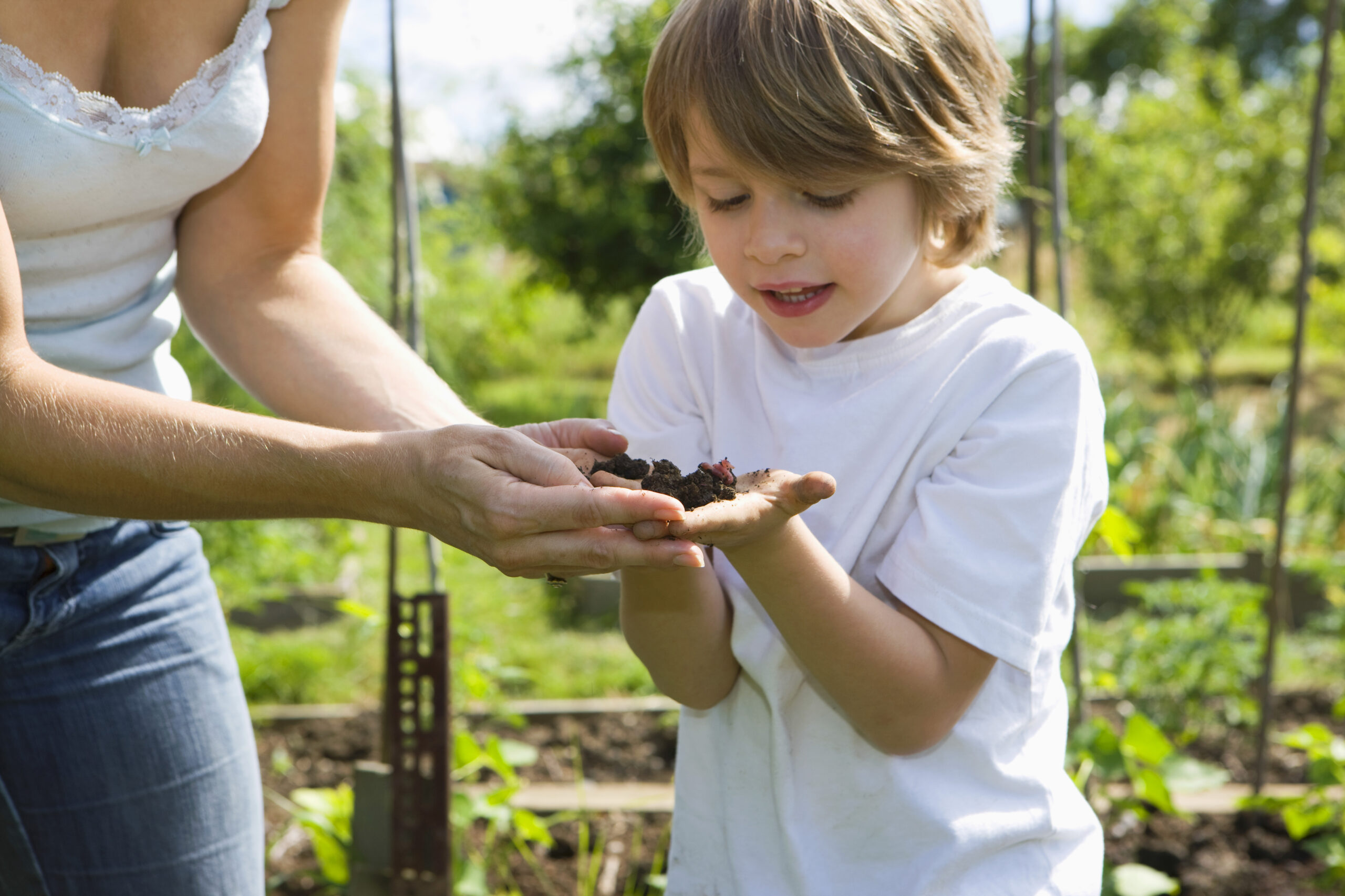 Looking after local soils